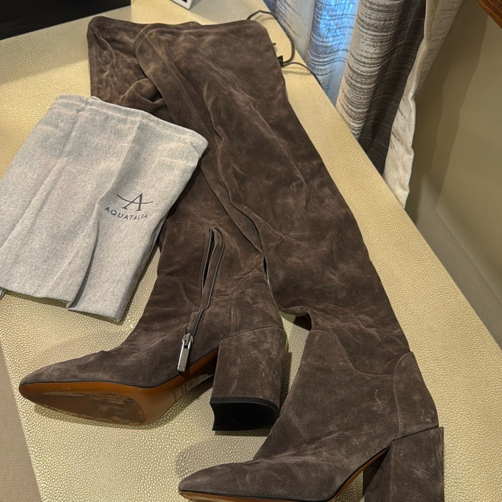 Aquatalia Barbara Suede Boots